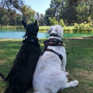 Meet your Posher, Marlene